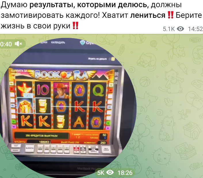 katy milla телеграмм обзор