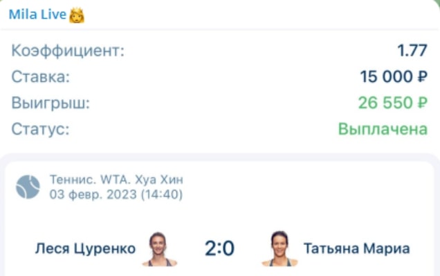 Mila live ставки на канале