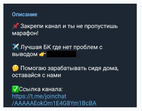 Betpoint телеграмм