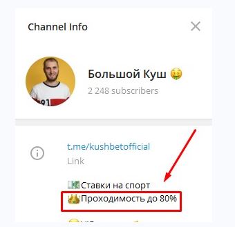 Канал Большой Куш