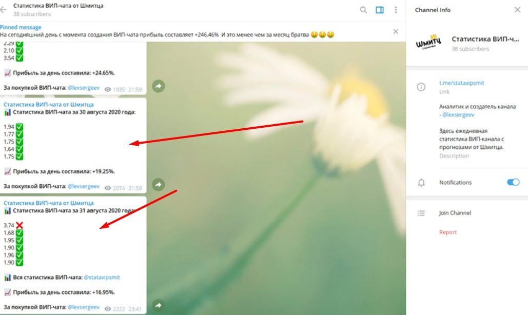 Канал Прогнозы от Шмитца