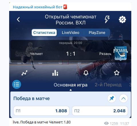 Проект Надежный хоккейный бот