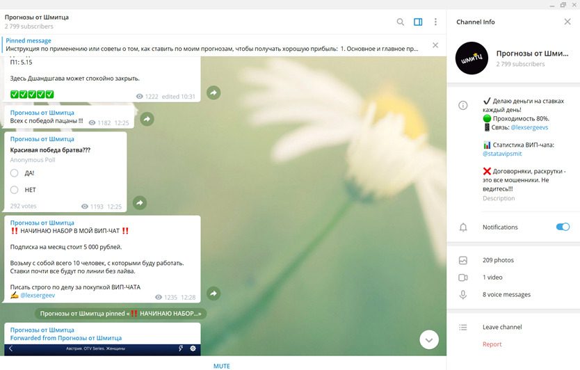 Прогнозы от Шмитца телеграмм