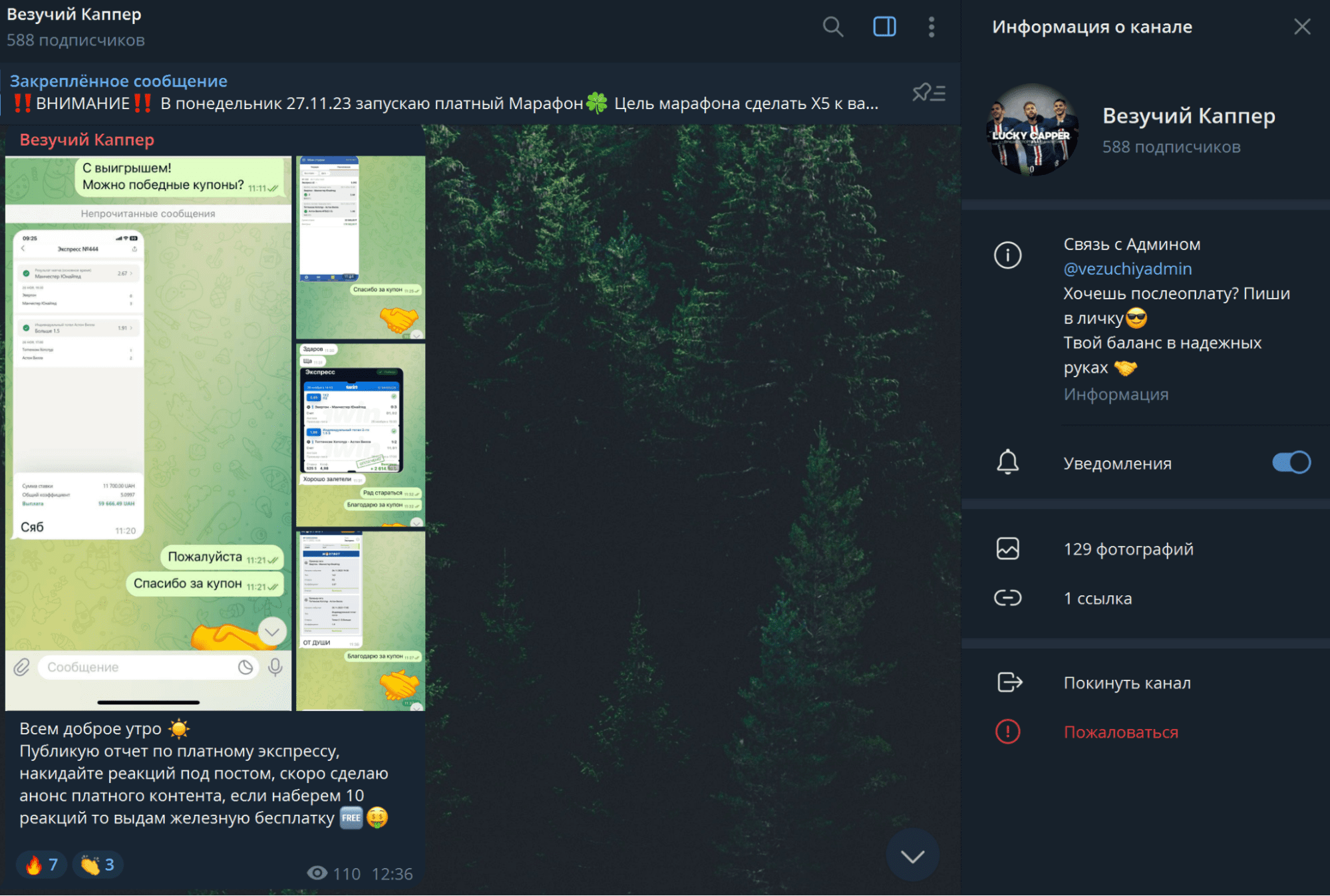 Проект Везучий Каппер