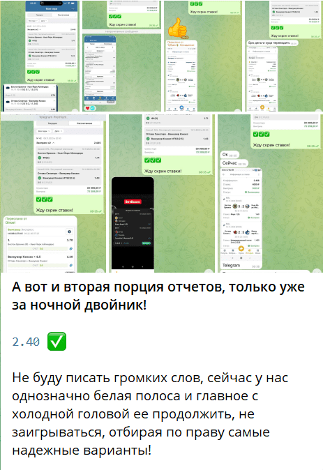 Отзывы о проекте Хоккейный Наемник