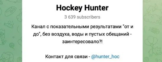 Hockey Hunter телеграм