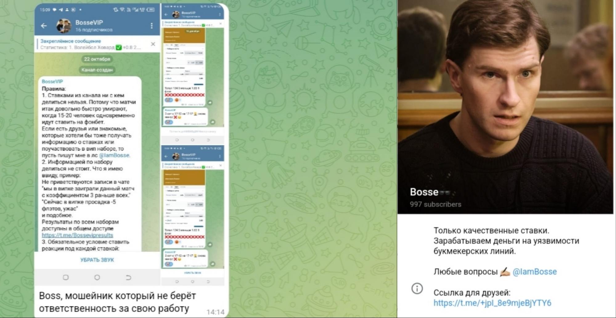 Bosse телеграм отзывы