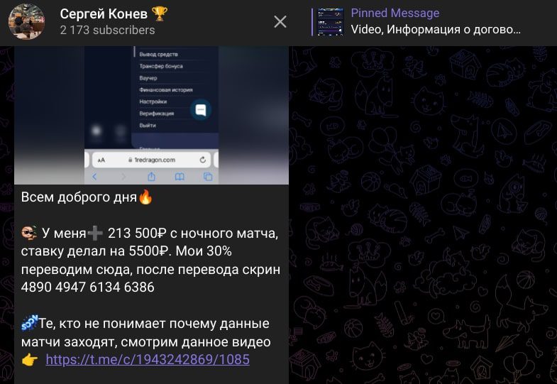 Сергей Конев телеграм пост