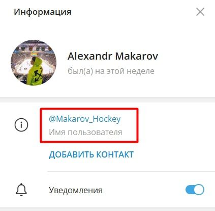 Alexander Makarov телеграм
