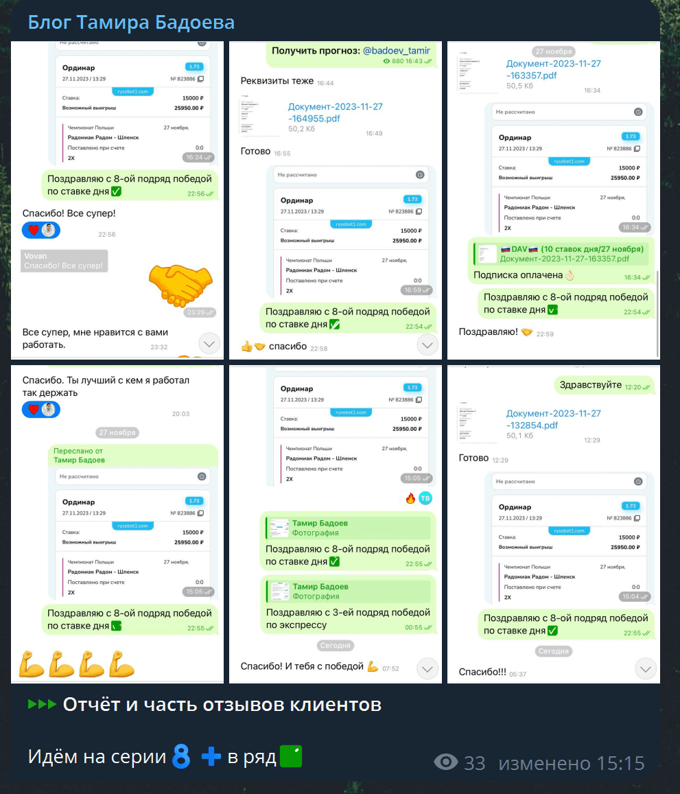 Отзывы о проекте Тамир Бадоев