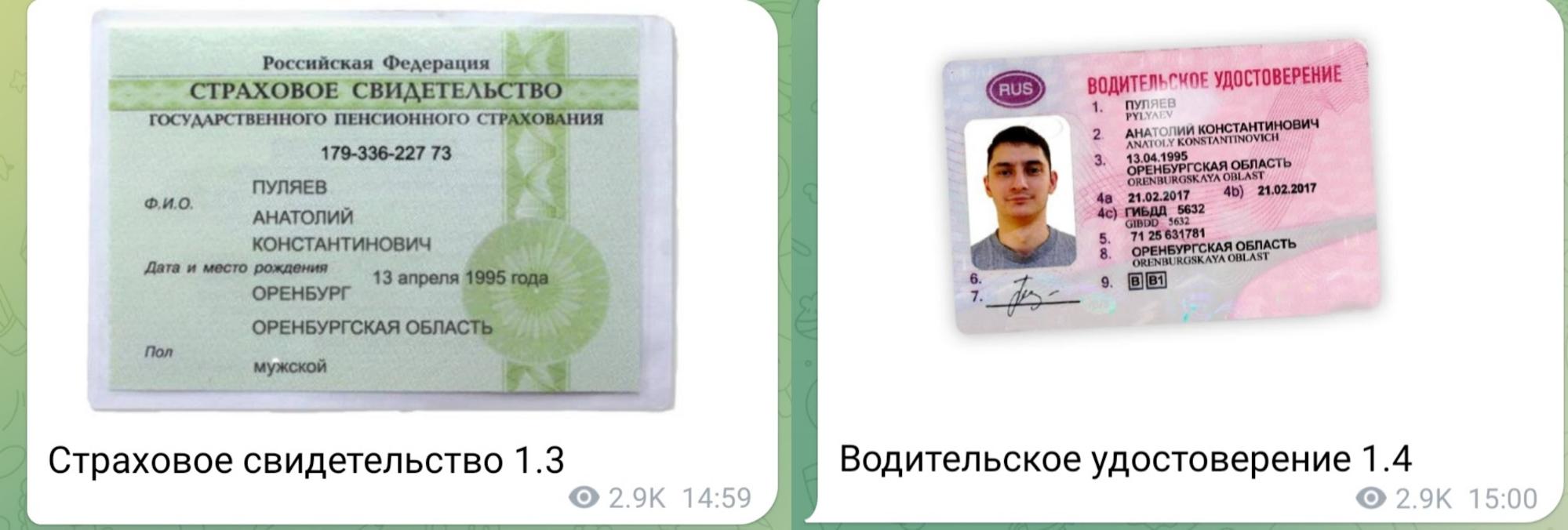 Тотальная доминация телеграм админ документы