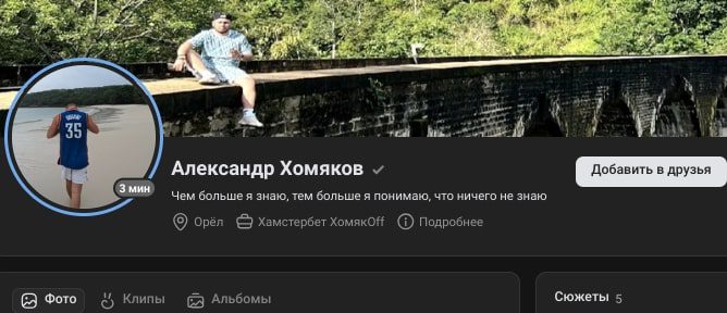 Damn Scammer Александр Хомяков ВК