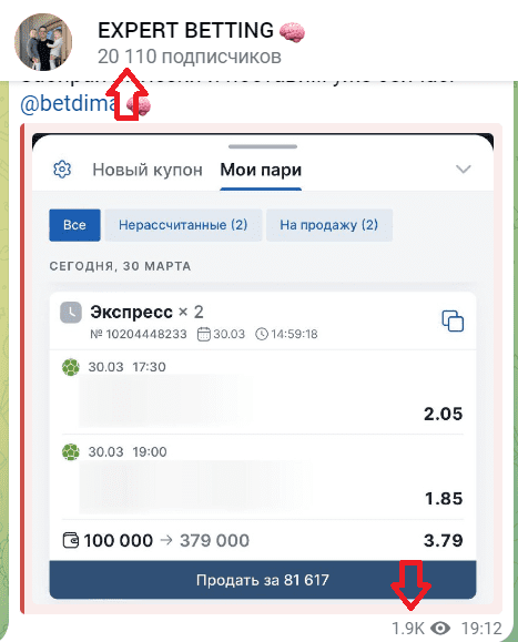 betdima отзывы