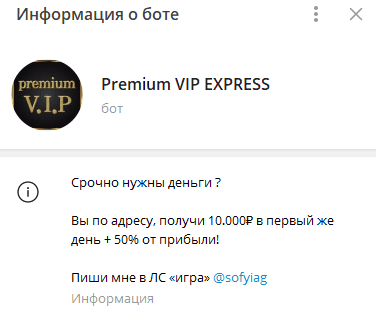 София Гордеева Телеграмм София Гордеева Телеграмм