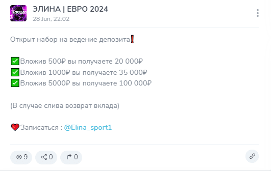 элина евро 2024