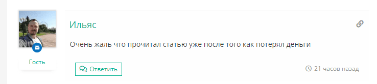 the wildjoe the wildjoe